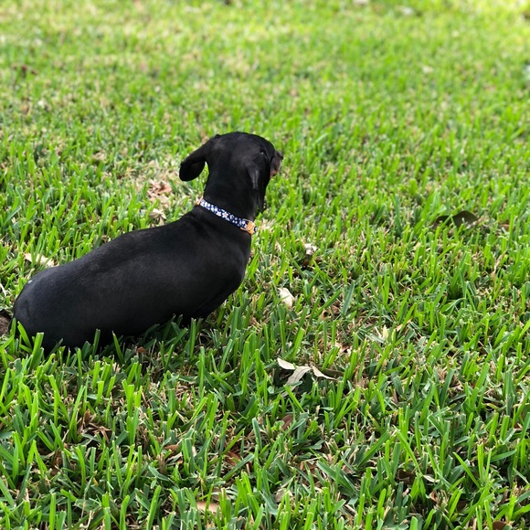 Meet your Posher, Kelly - Picture 3 of 3